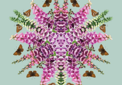 Foxglove design