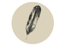 Neustadt Feather