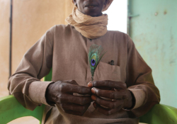 A person, whose face just above the panel, holds a peacock feather erect between his hands