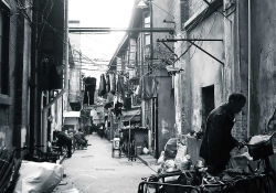 Street in Shanghai. Photo: Maria Teresa Bologna