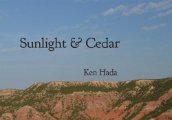 A cropped detail of the cover to Ken Hada's Sunlight & Cedart